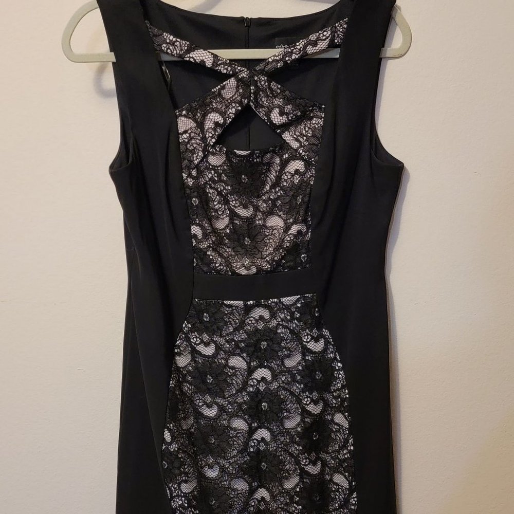 Connected Apparel Black Lace Formal Business Dress Pink